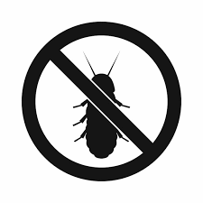 Termite Treatment Icon